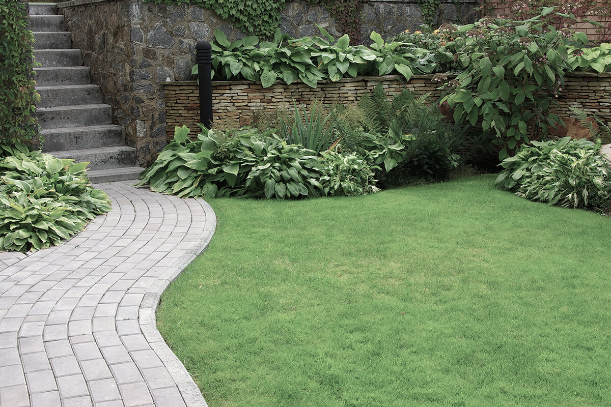 Welcome to Lyons Landscaping